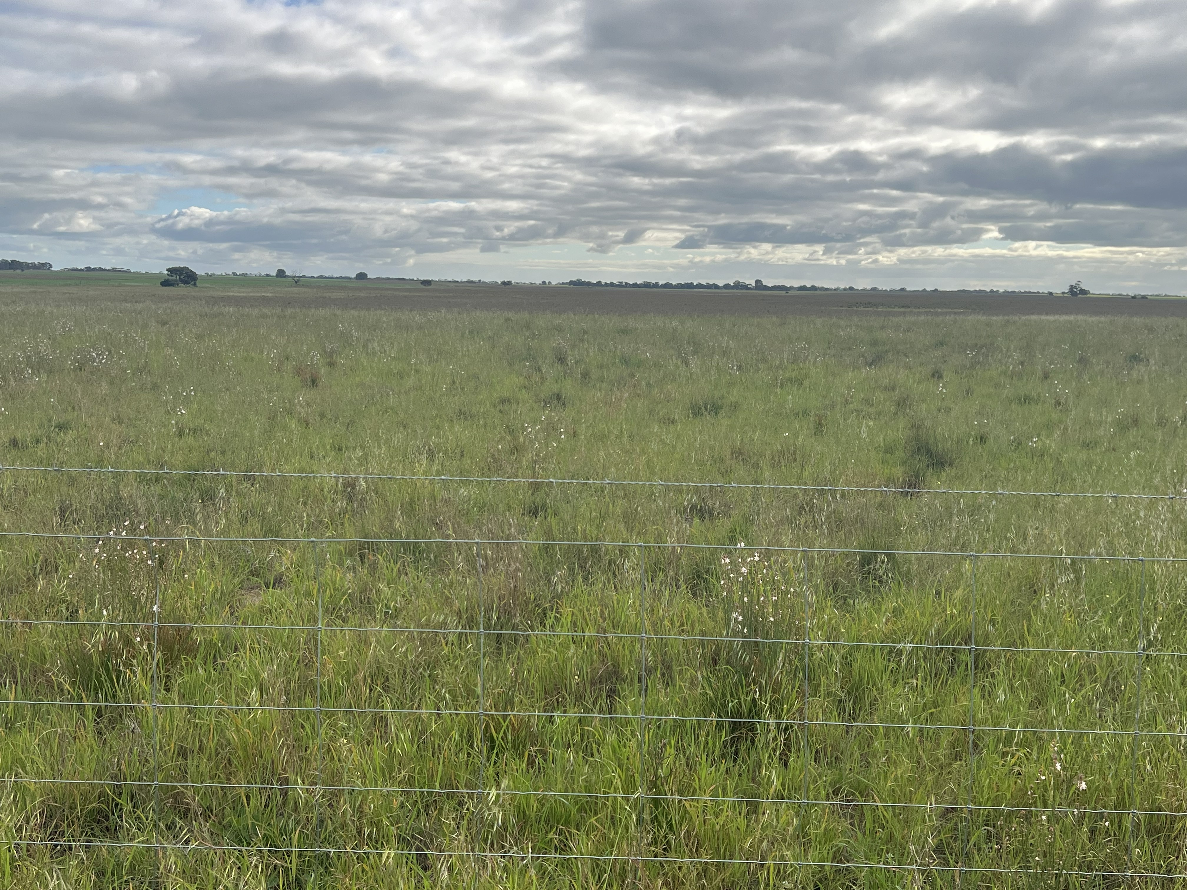 322 Netherton Road, Peake SA 5301