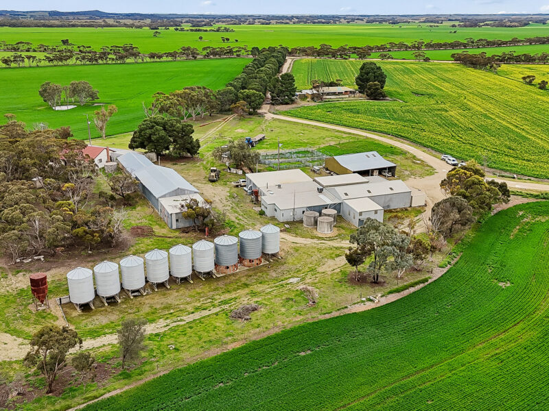 146 Pascoe Road, Coonalpyn SA 5265
