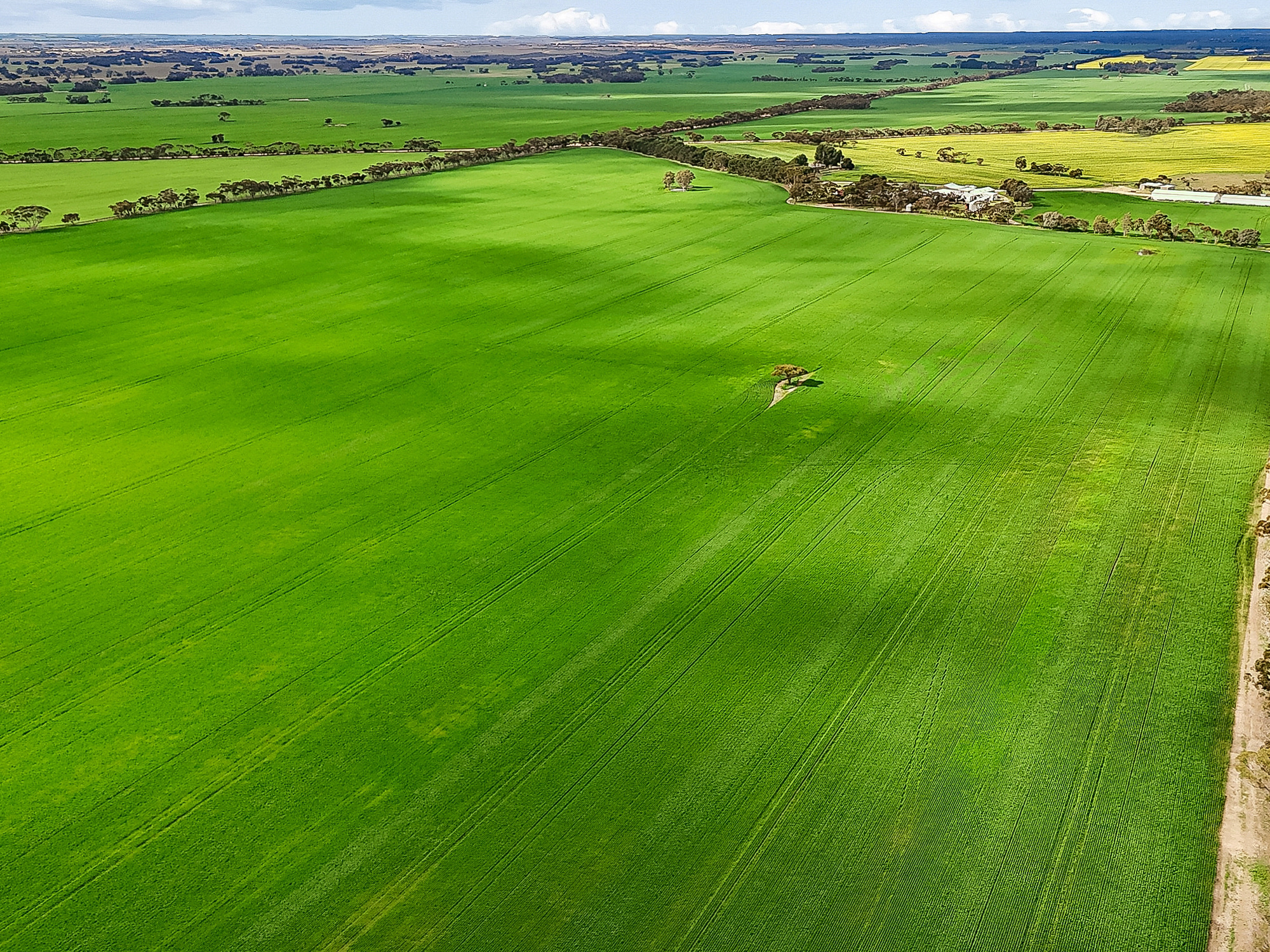 146 Pascoe Road, Coonalpyn SA 5265
