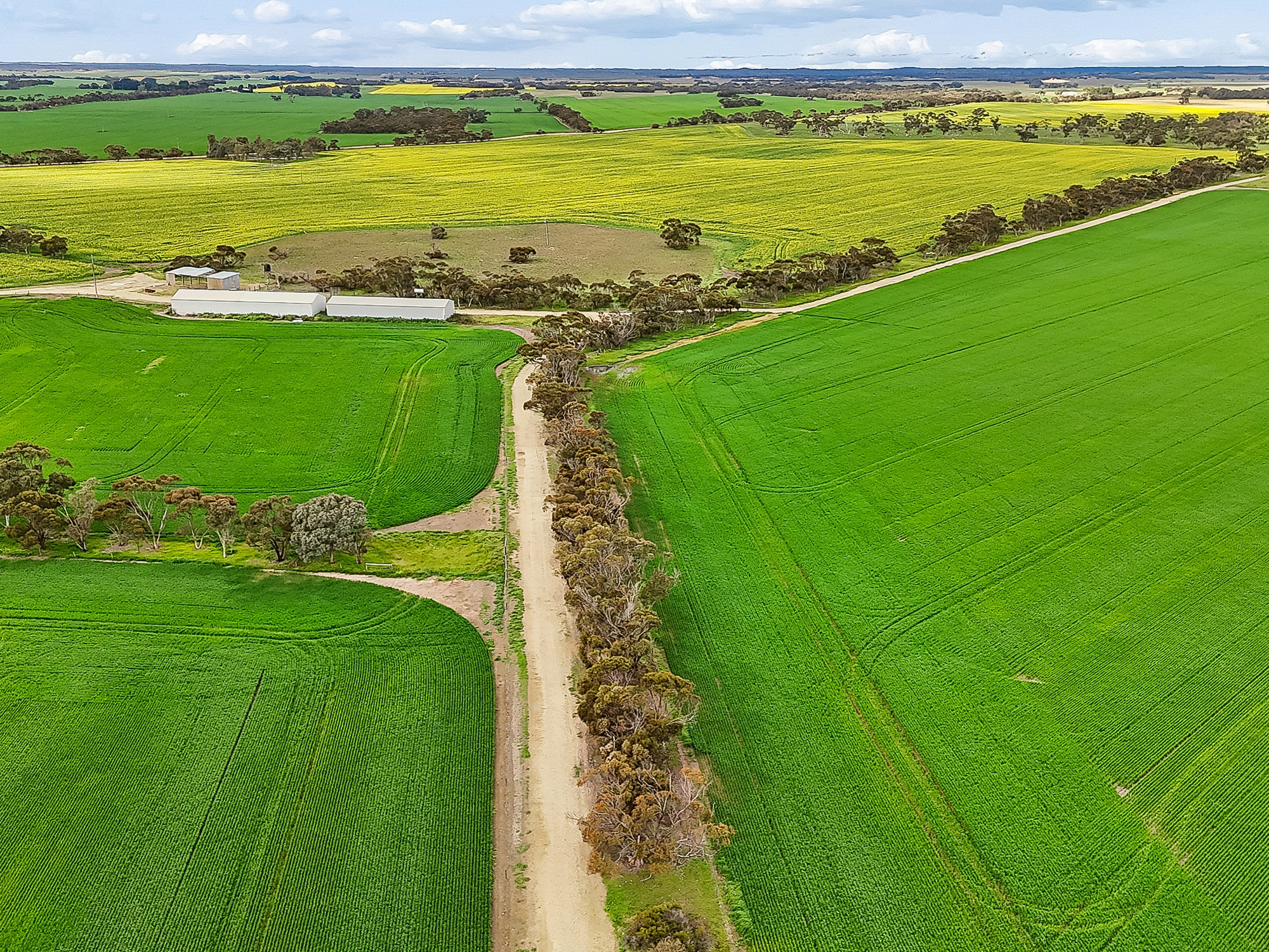 146 Pascoe Road, Coonalpyn SA 5265