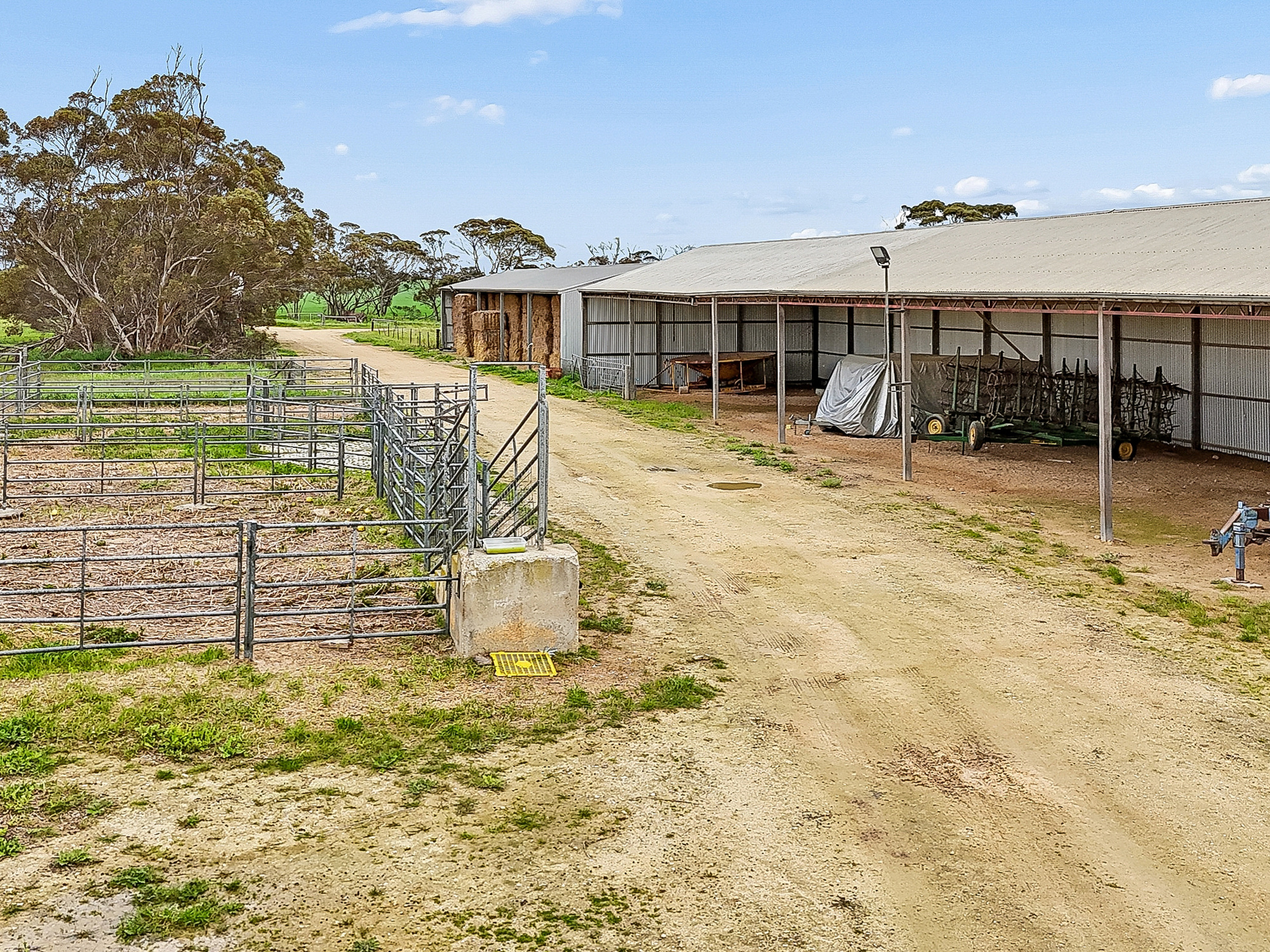 146 Pascoe Road, Coonalpyn SA 5265