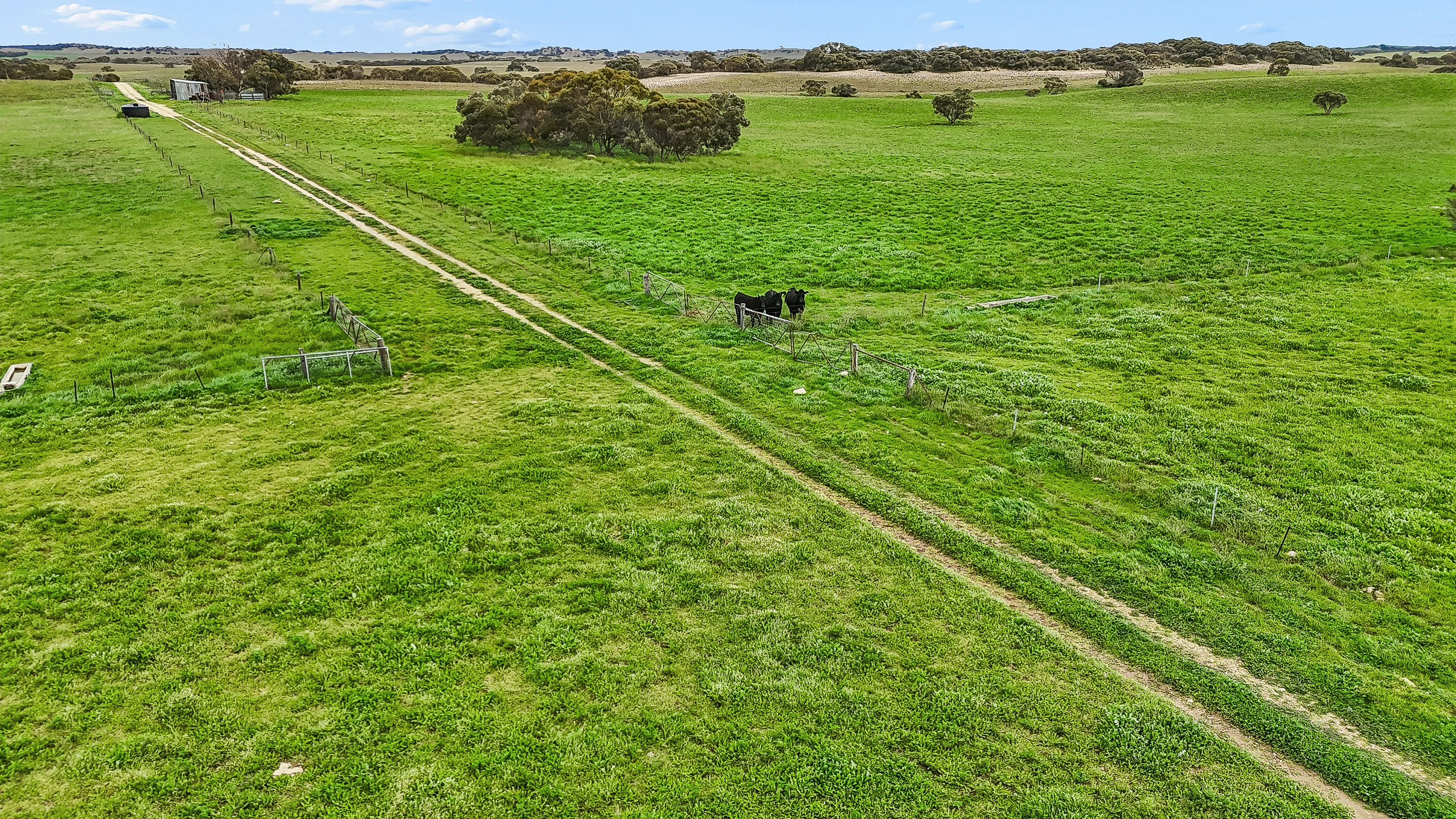 146 Pascoe Road, Coonalpyn SA 5265