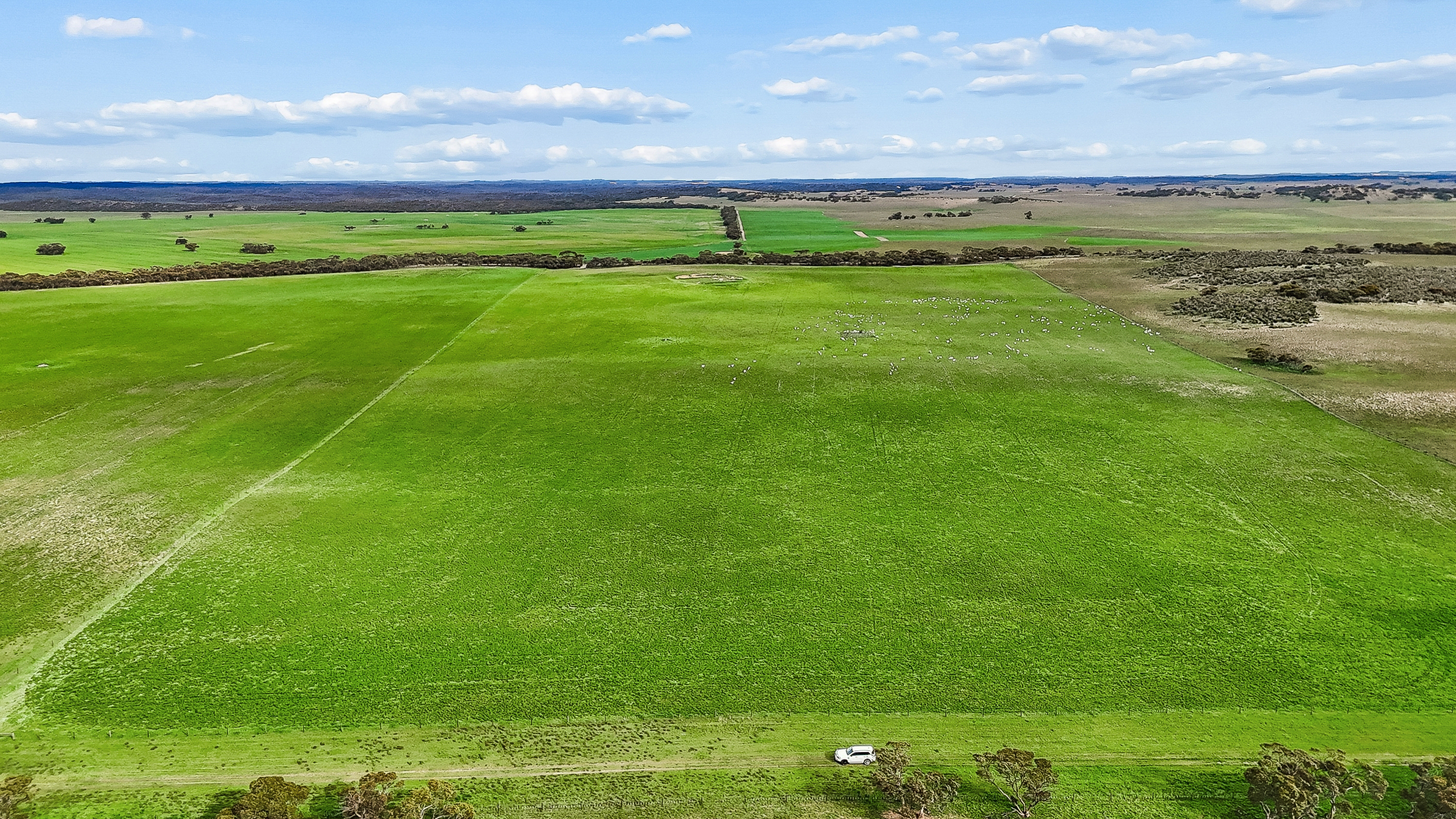 146 Pascoe Road, Coonalpyn SA 5265