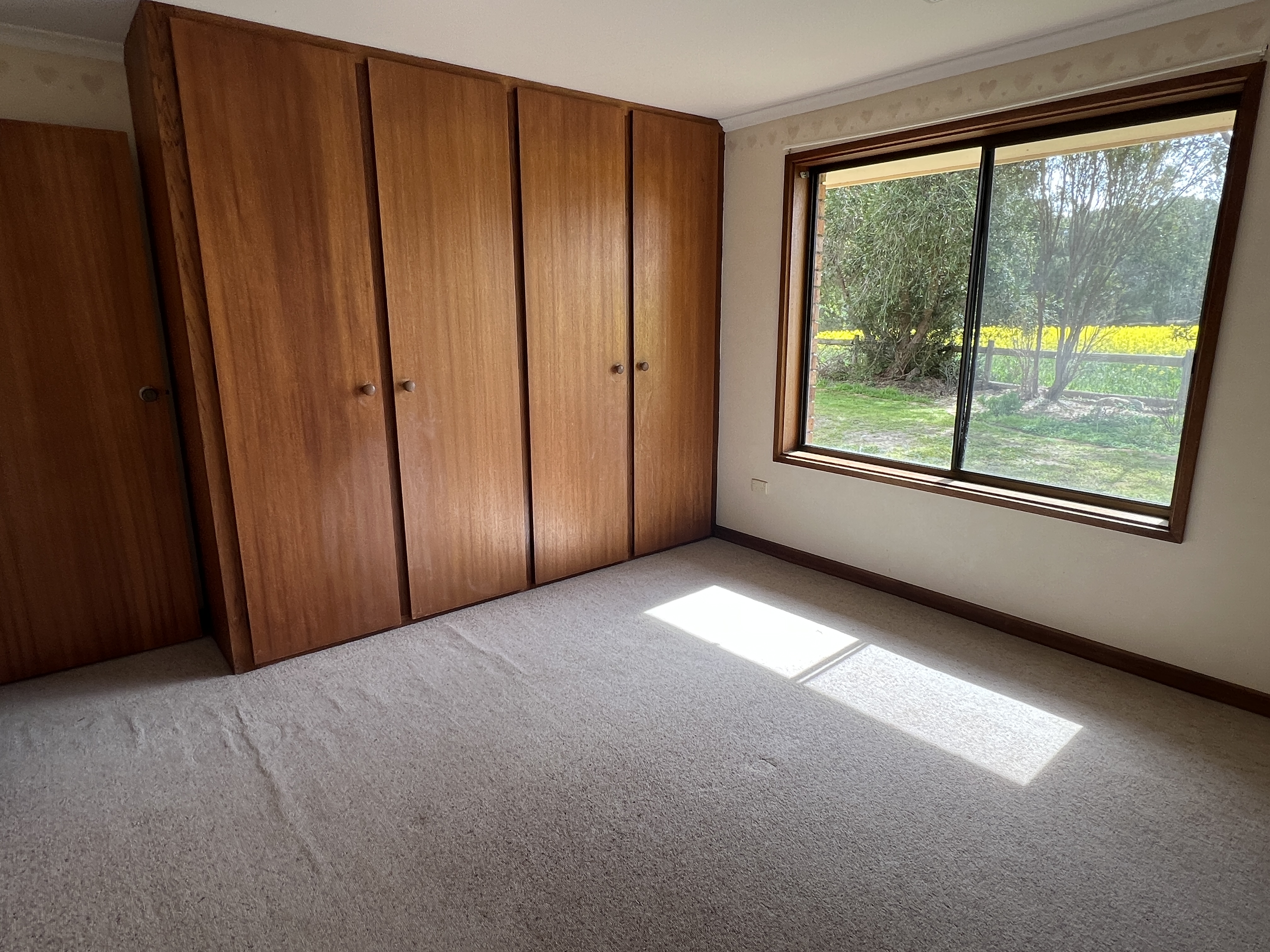 146 Pascoe Road, Coonalpyn SA 5265