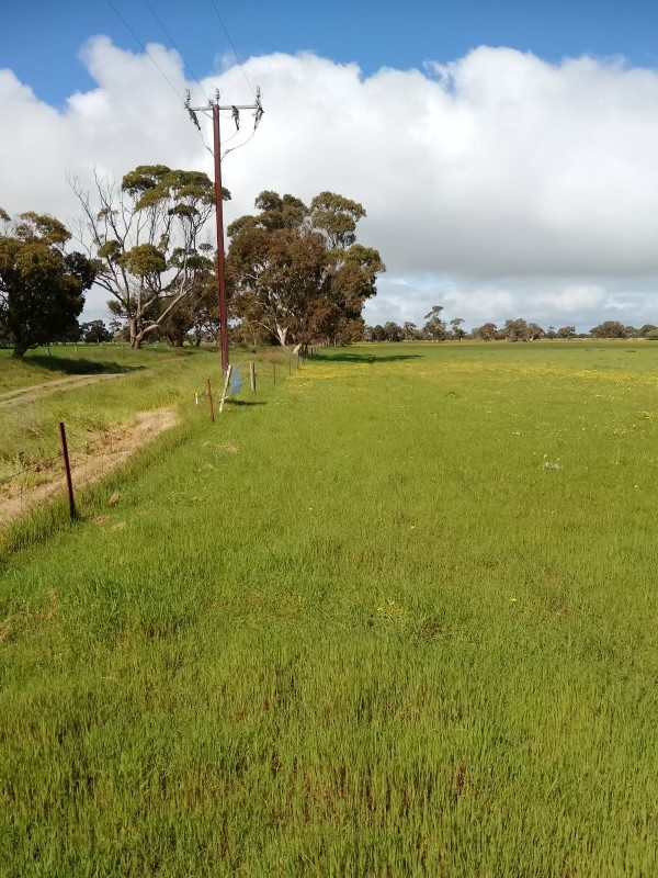 Allotment 11 Black Road, Keith SA 5267