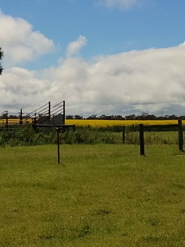 Allotment 11 Black Road, Keith SA 5267