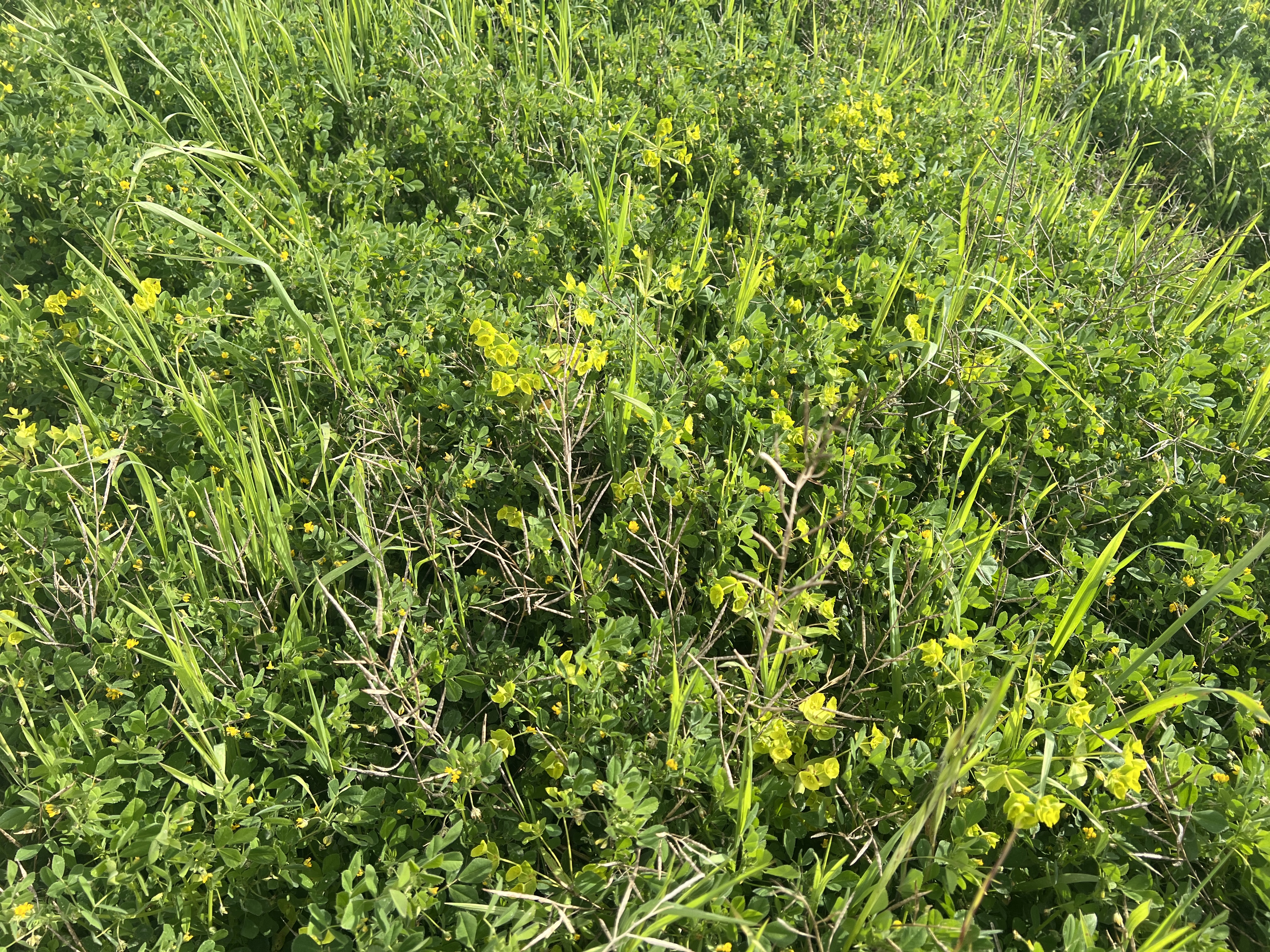 Lot 17 & 18 Kulkami Road, Karoonda SA 5307