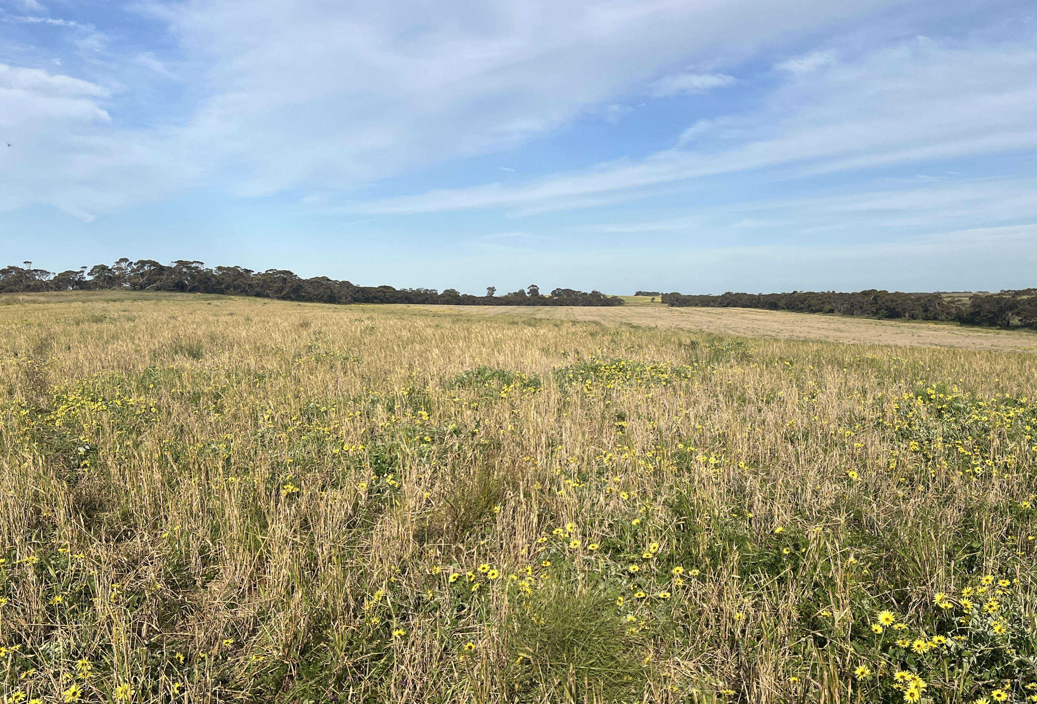 Lot 17 & 18 Kulkami Road, Karoonda SA 5307