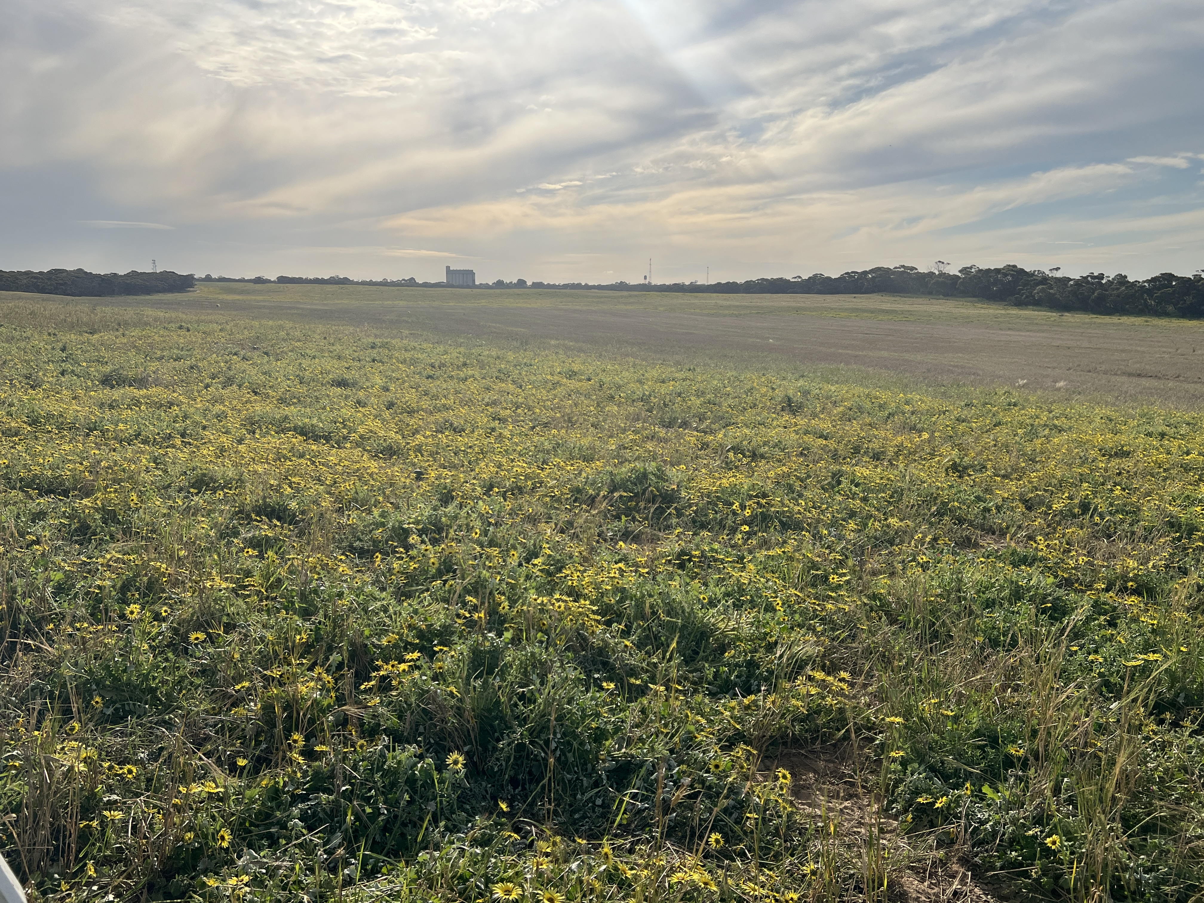 Lot 17 & 18 Kulkami Road, Karoonda SA 5307
