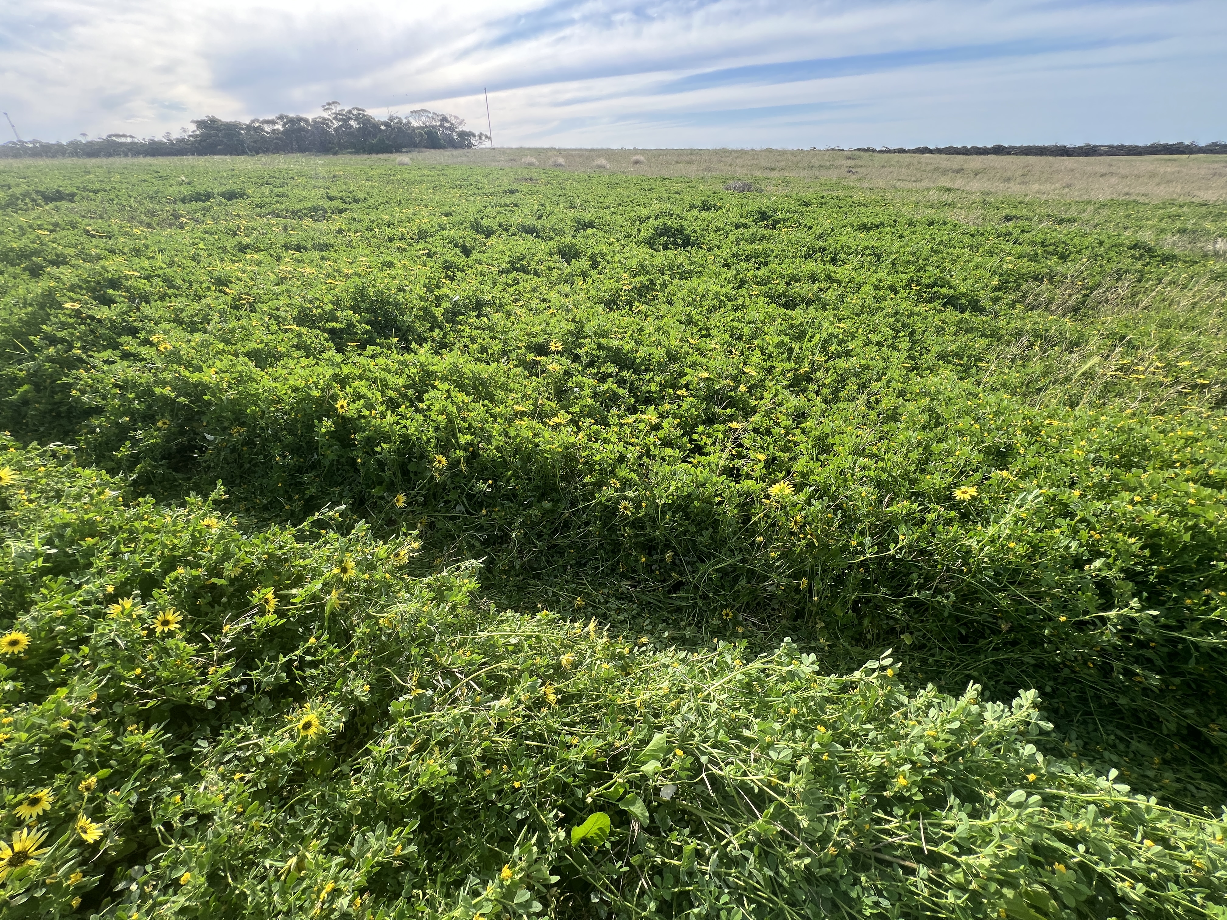 Lot 17 & 18 Kulkami Road, Karoonda SA 5307