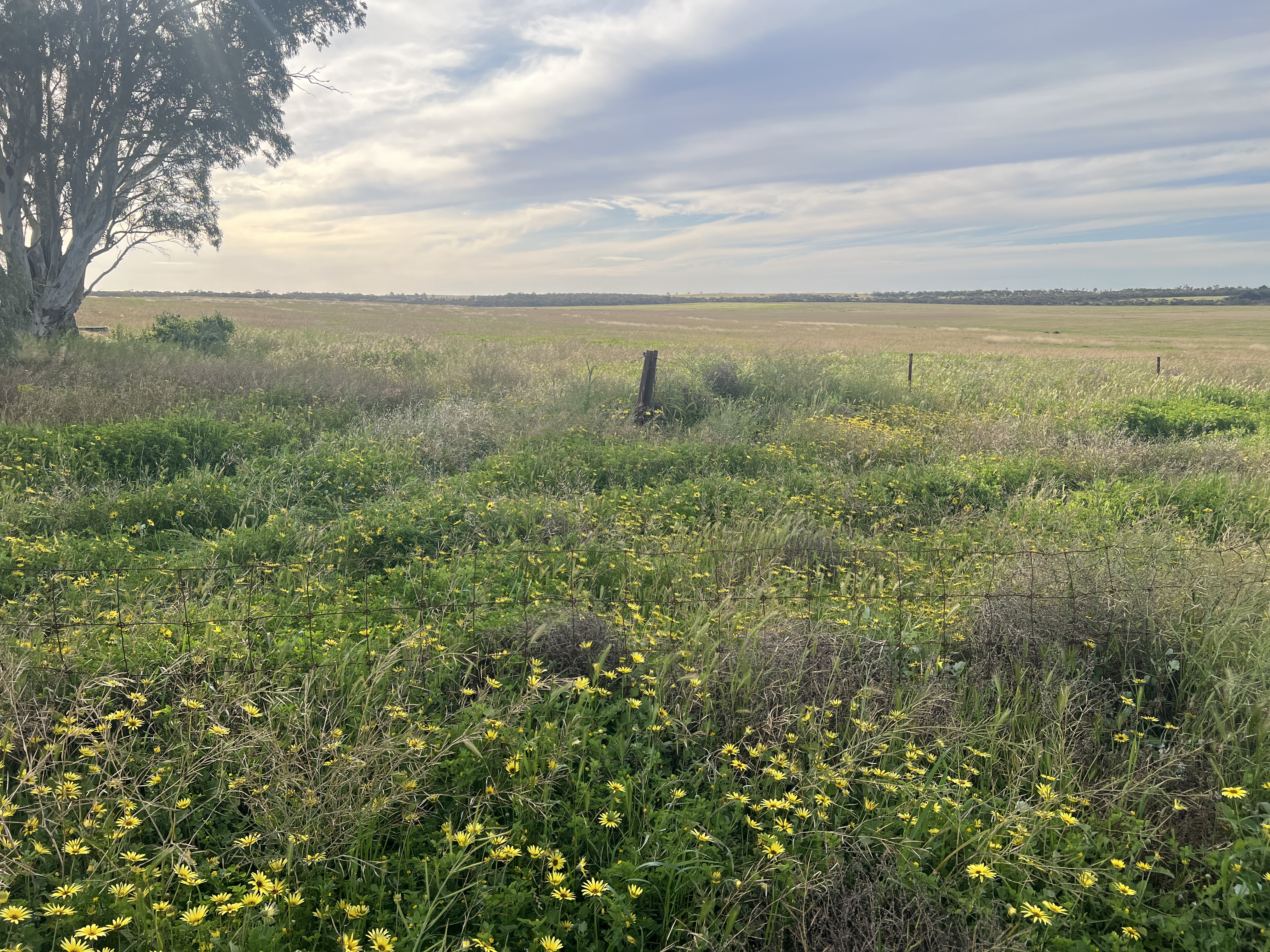 Lot 17 & 18 Kulkami Road, Karoonda SA 5307