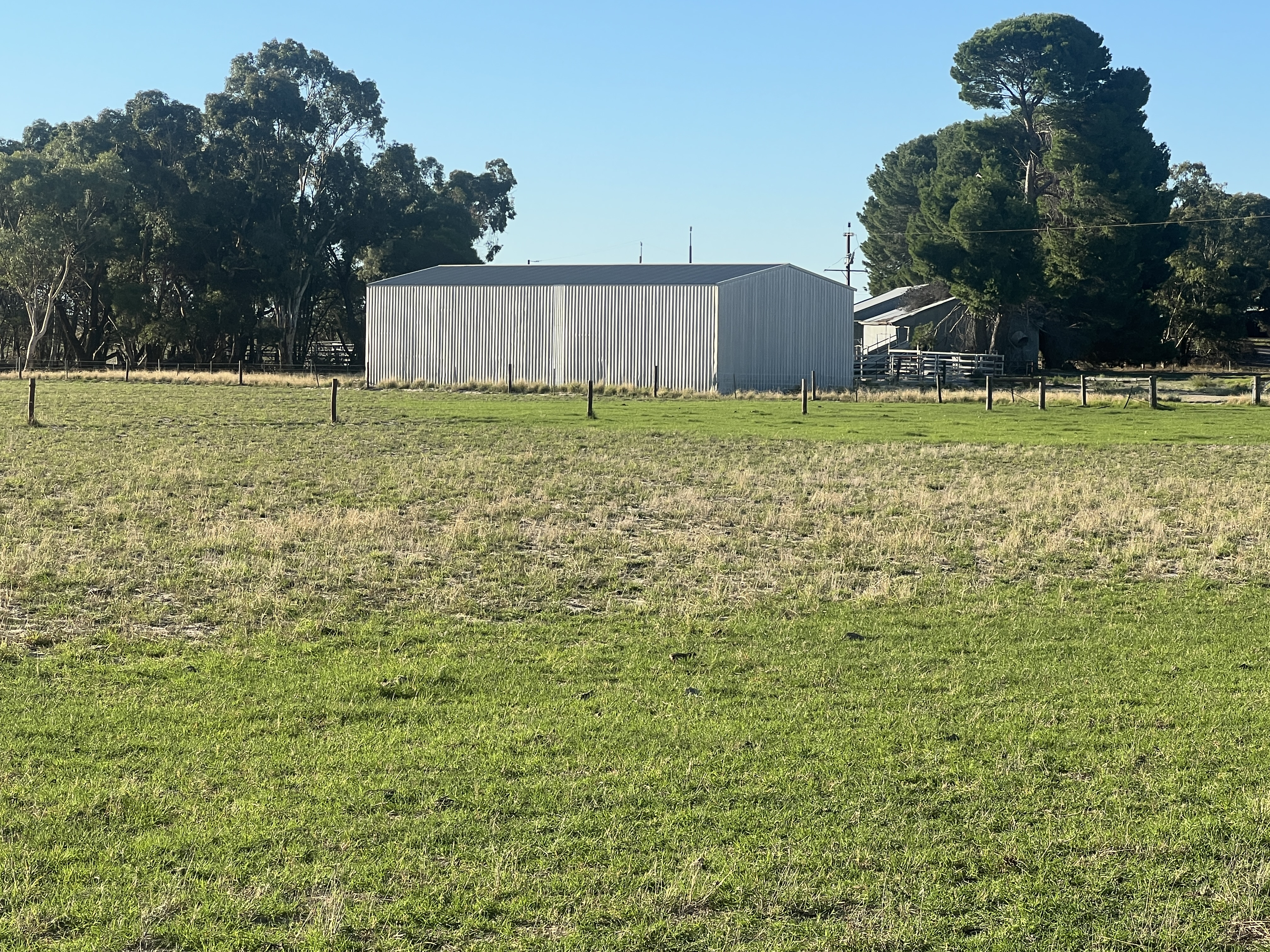 2625 Carcuma Road, Tintinara SA 5266