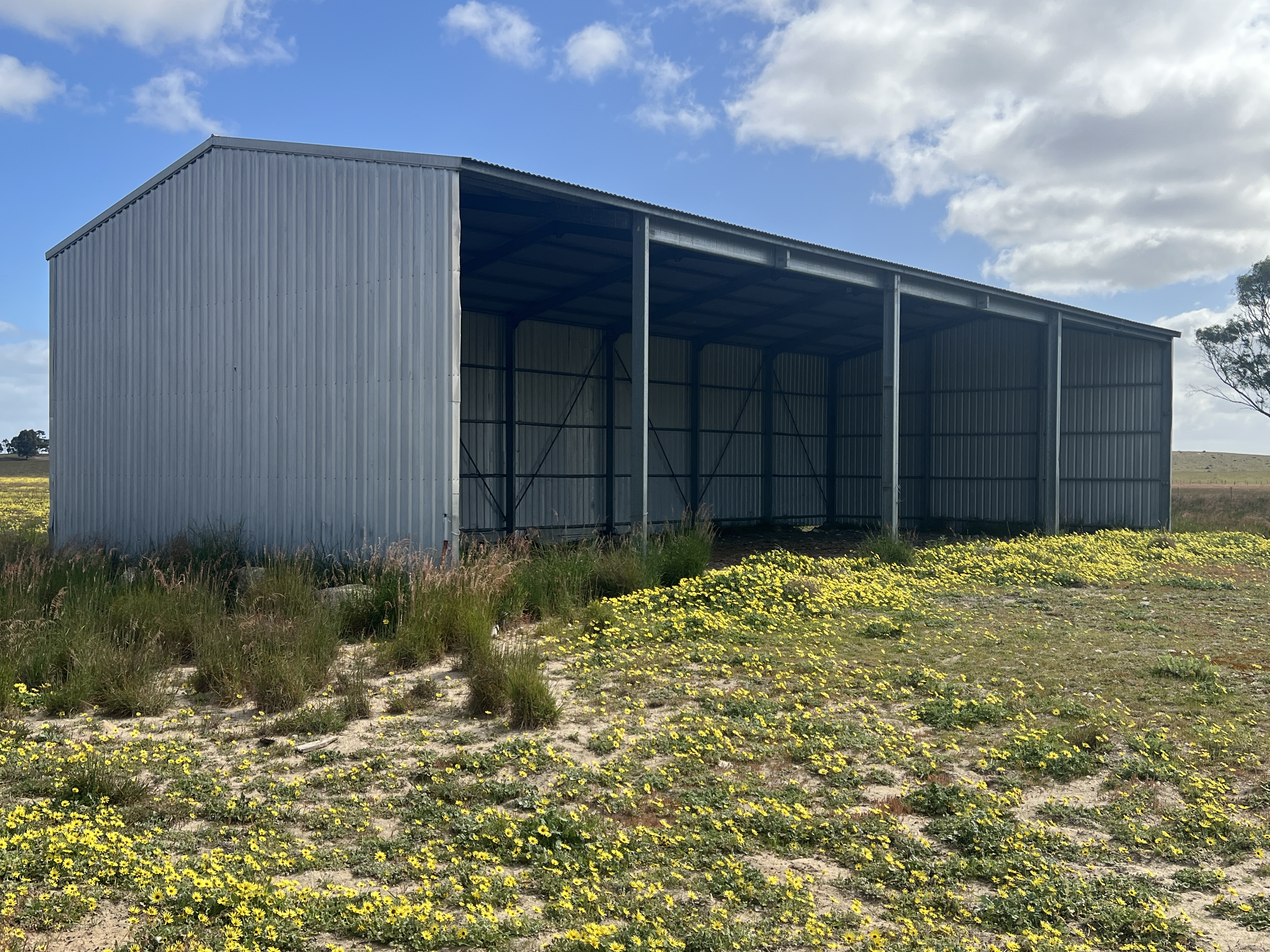 2625 Carcuma Road, Tintinara SA 5266