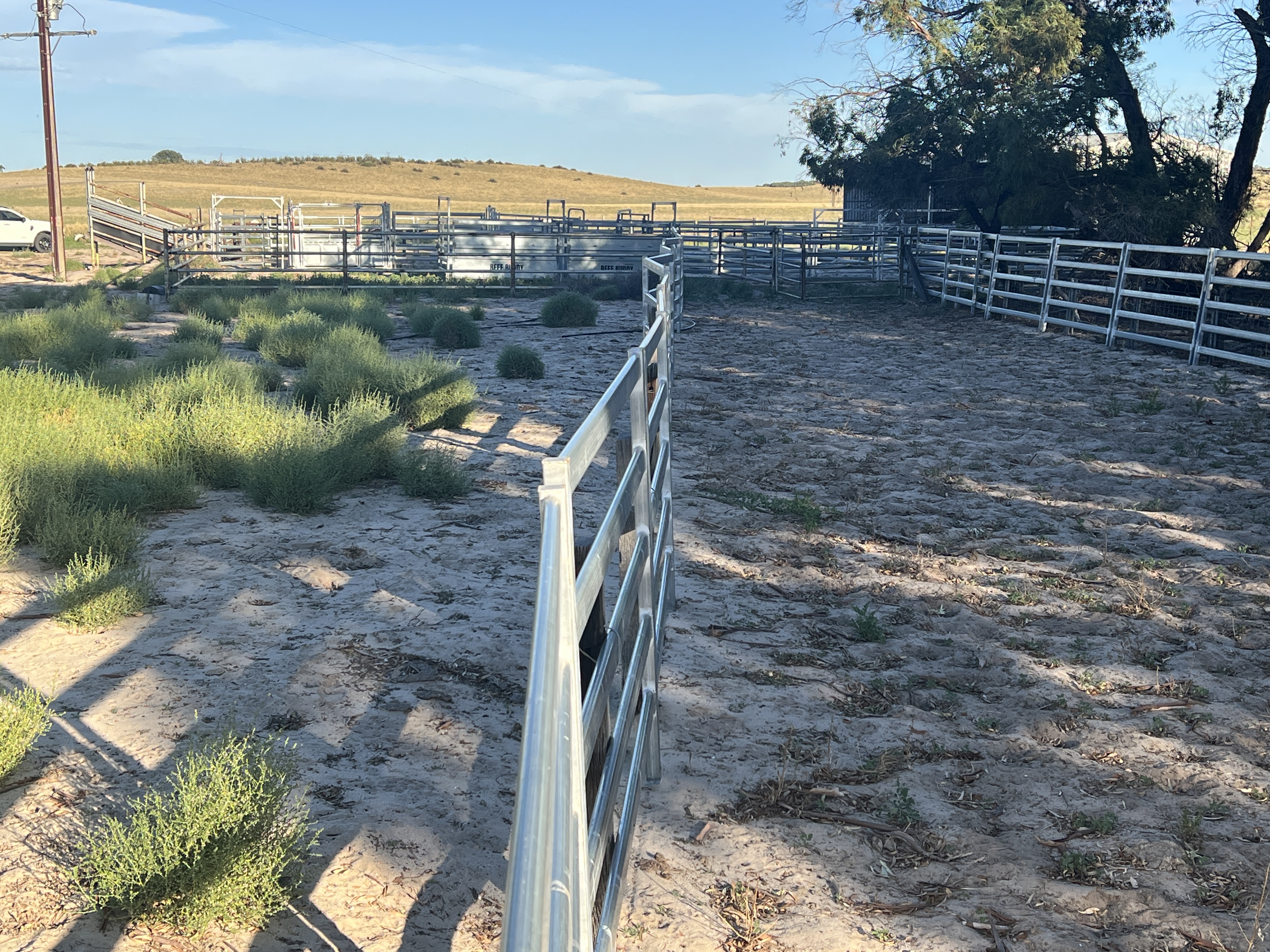 2625 Carcuma Road, Tintinara SA 5266