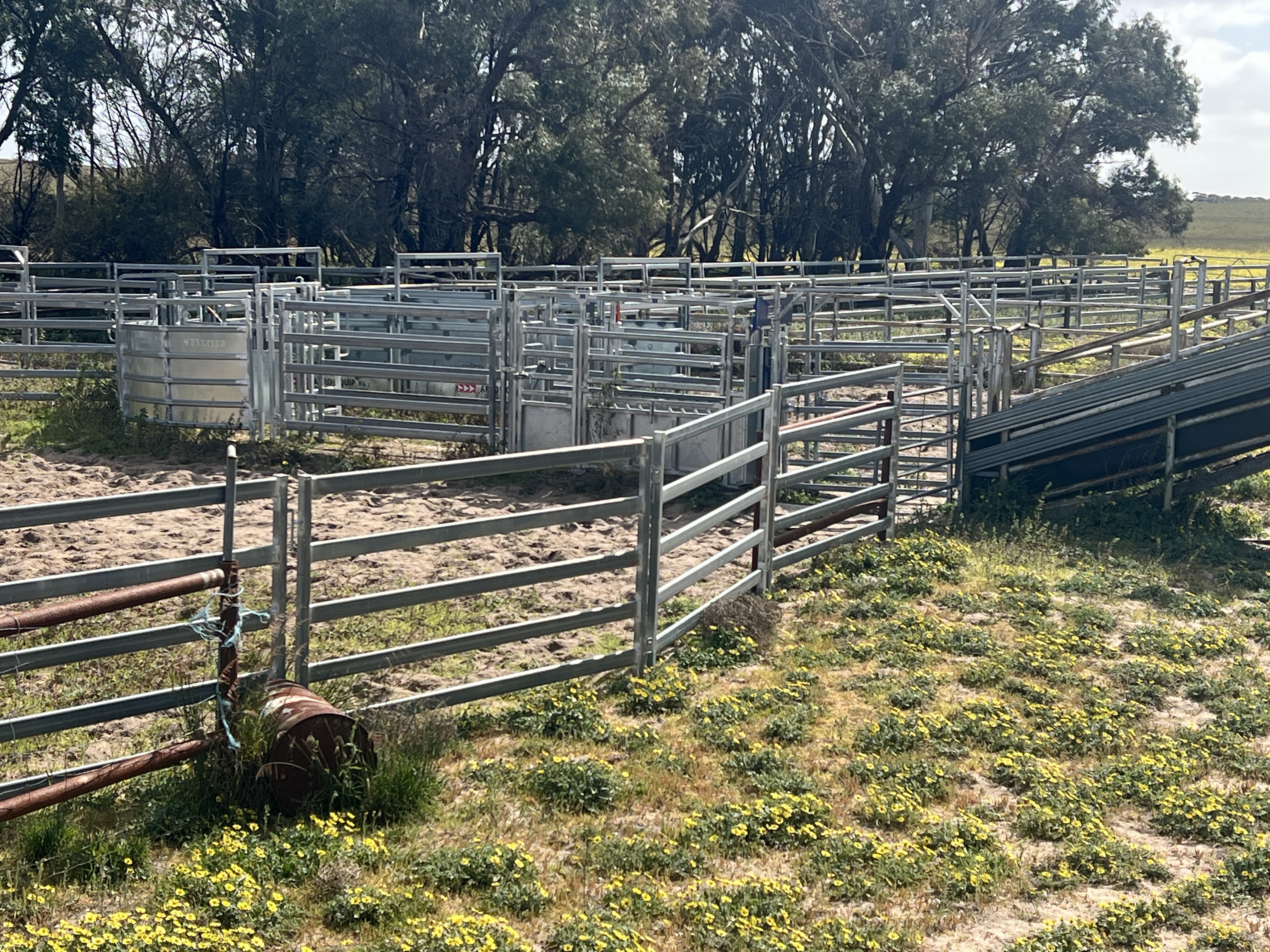 2625 Carcuma Road, Tintinara SA 5266