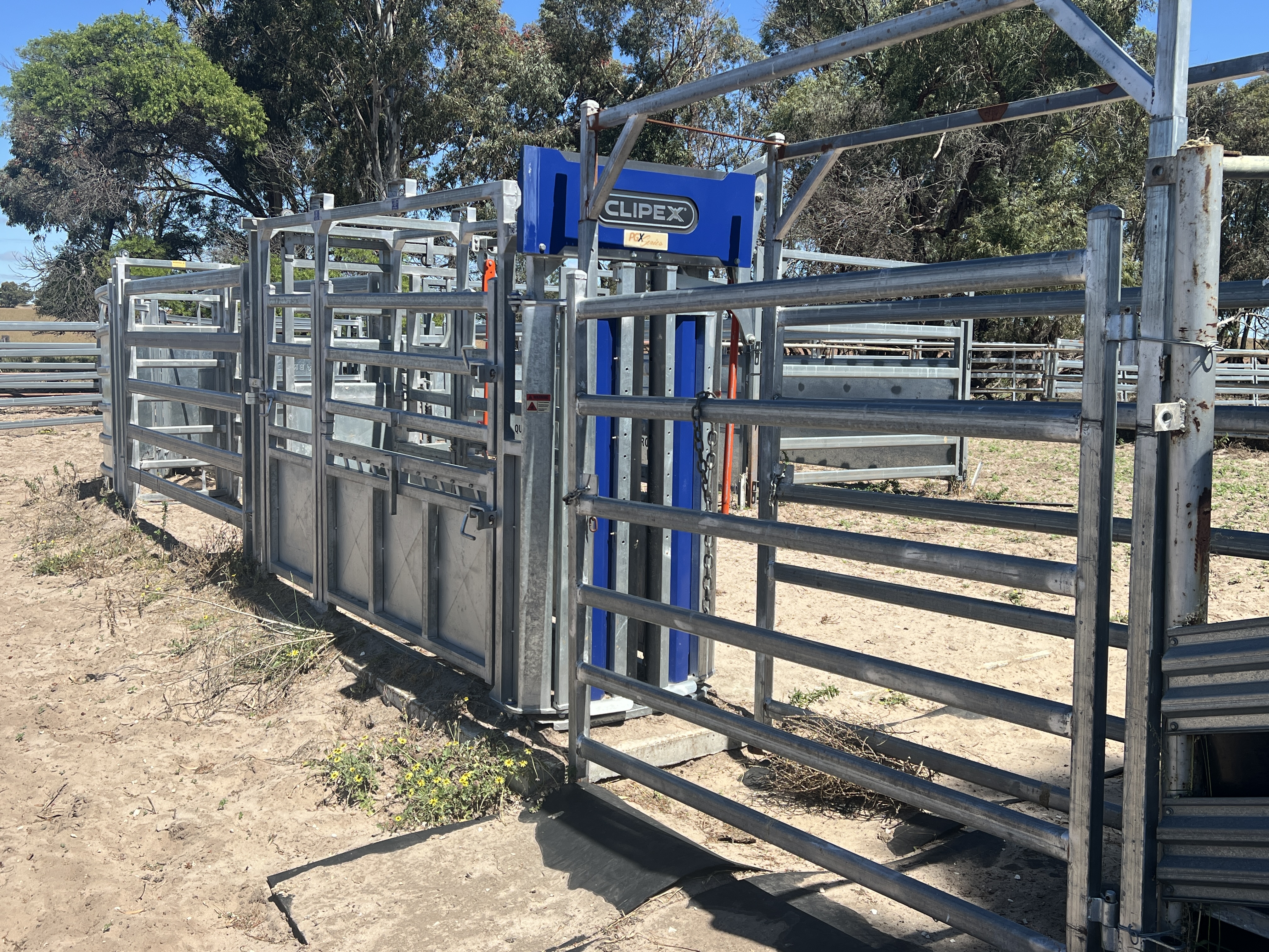 2625 Carcuma Road, Tintinara SA 5266