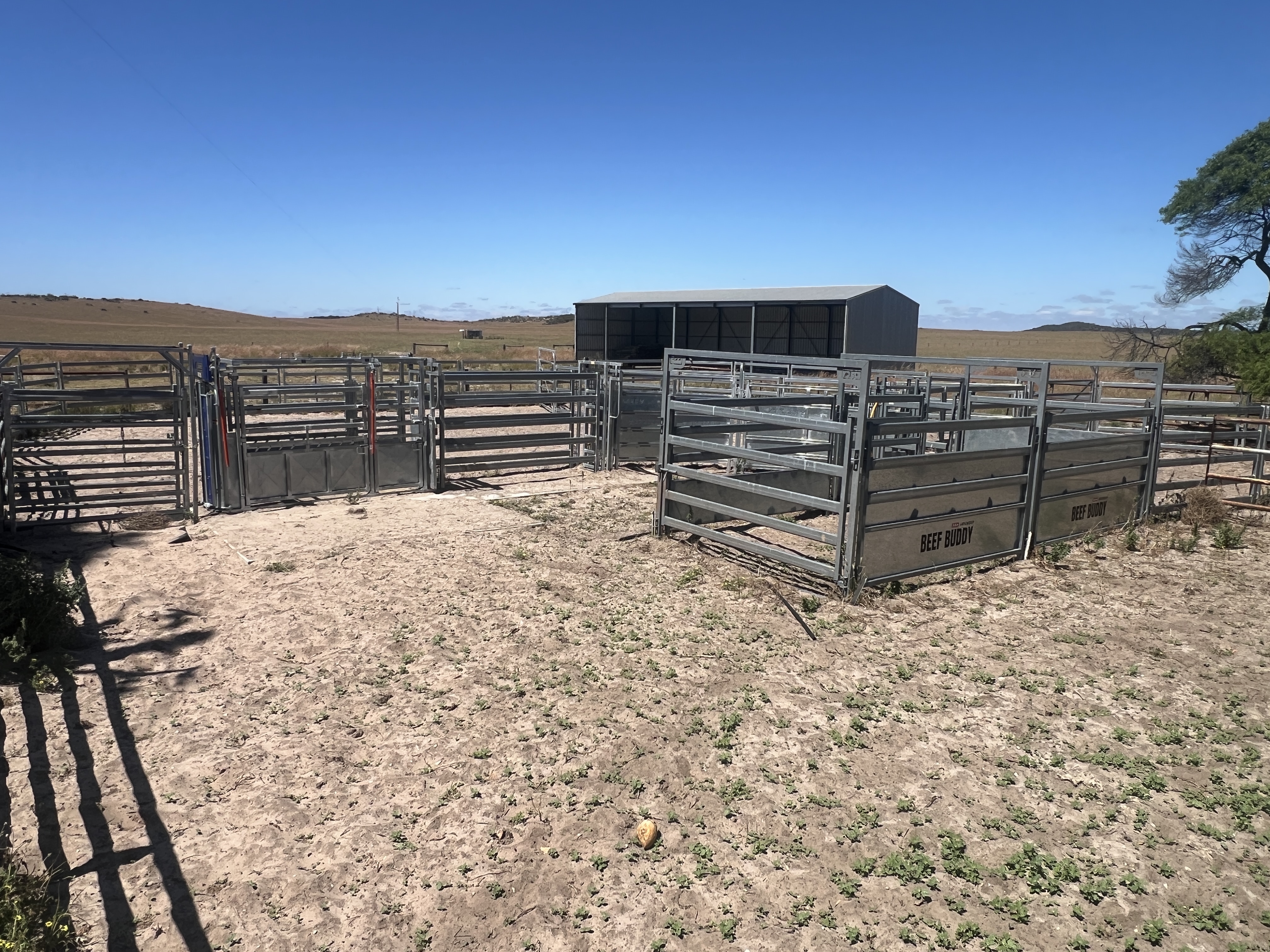 2625 Carcuma Road, Tintinara SA 5266